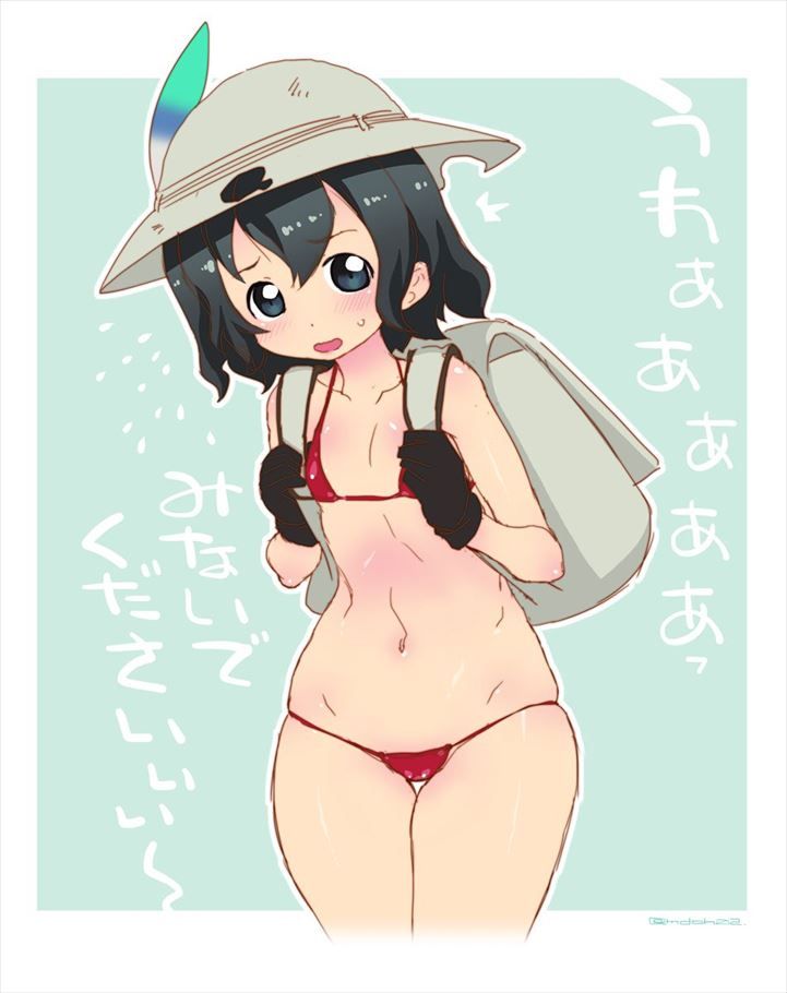 けものフレンズのエロ画像