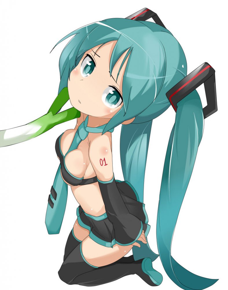 ボーカロイドのよさを痛感できるエロ画像ください