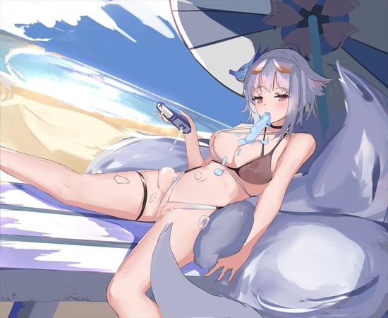 アズールレーンのよさを痛感できるエロ画像ください