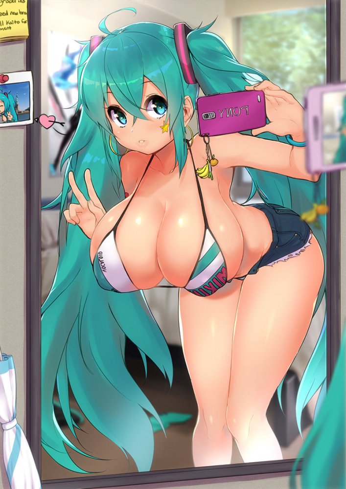 ボーカロイドのエロ画像でシコりたい奴集まれ！