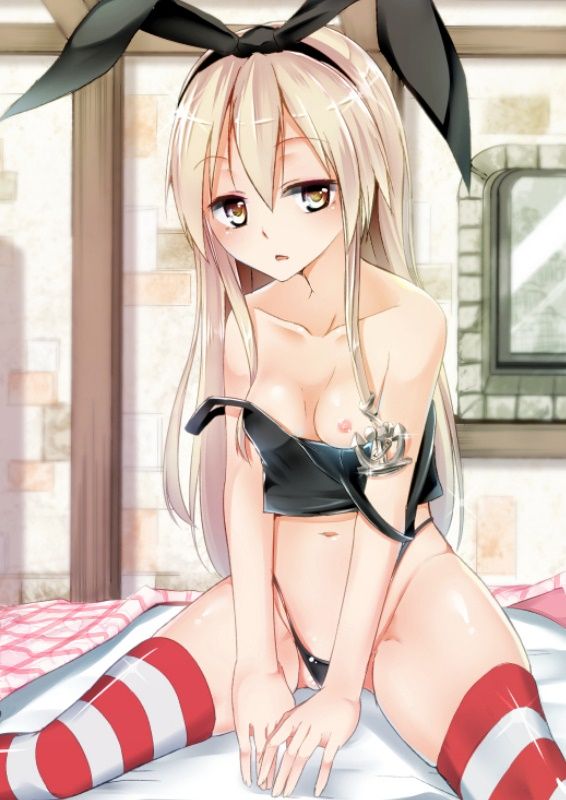 艦隊これくしょんのエロ画像詰め合わせ