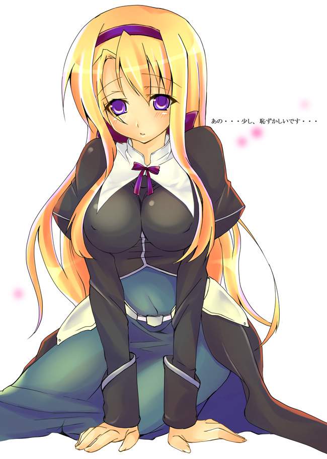 魔法少女リリカルなのはを期待する人が集まる画像倉庫。