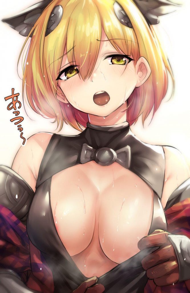 巨乳の二次エロ画像で抜きたい！