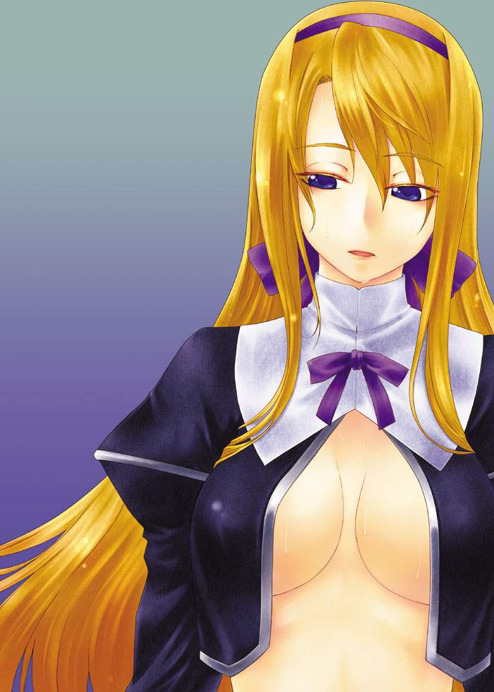 魔法少女リリカルなのはを期待する人が集まる画像倉庫。