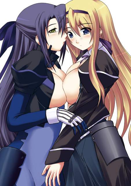 魔法少女リリカルなのはを期待する人が集まる画像倉庫。