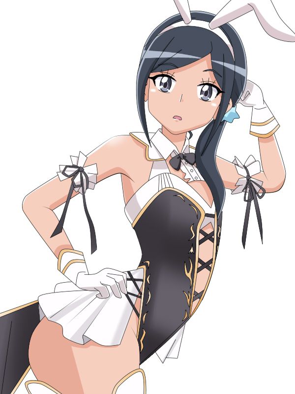 プリキュアの画像が好きな紳士の方はこちらへどうぞ。