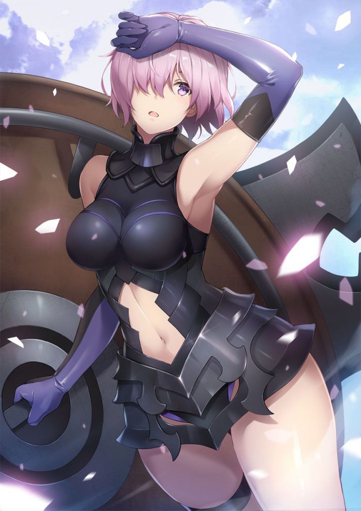 Fateの至高vs究極のエロ画像