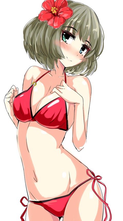 アイドルマスターのエロ画像下さい