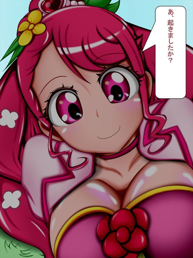 即ヌキ！ぐうシコな「プリキュア」系激レア画像ｗｗｗ【エロ画像】