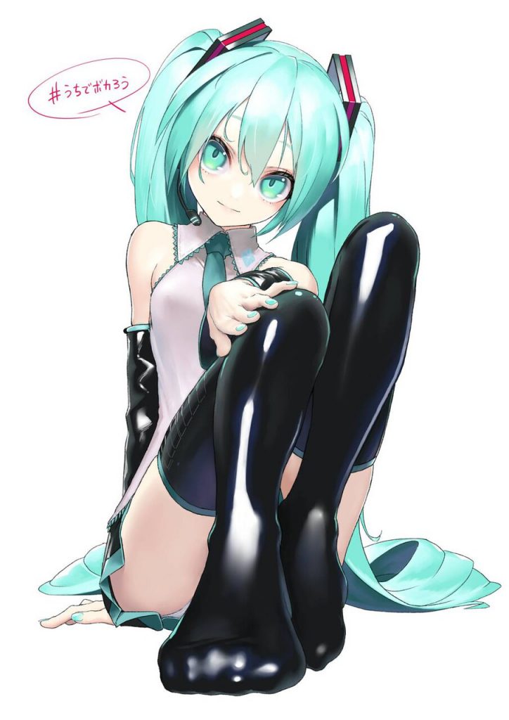 ボーカロイドは最高だぜぇぇ！！ってなるエロ画像