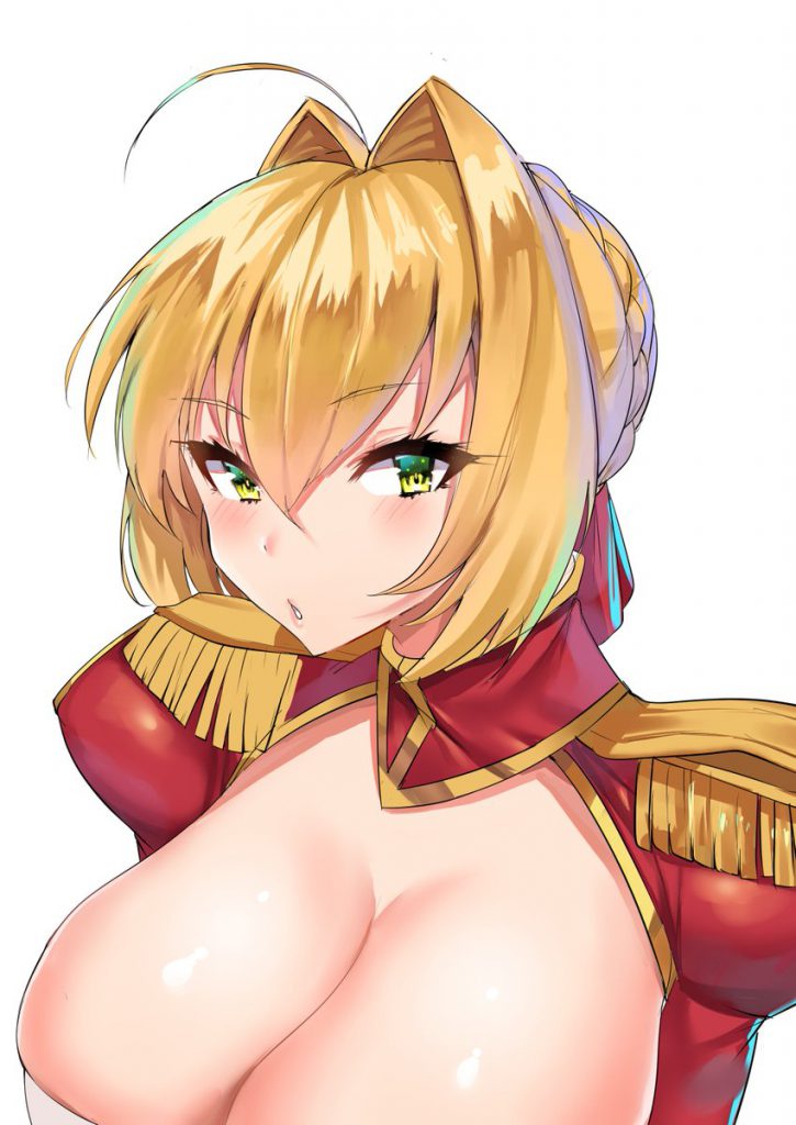 Fate Grand Orderのエロい画像