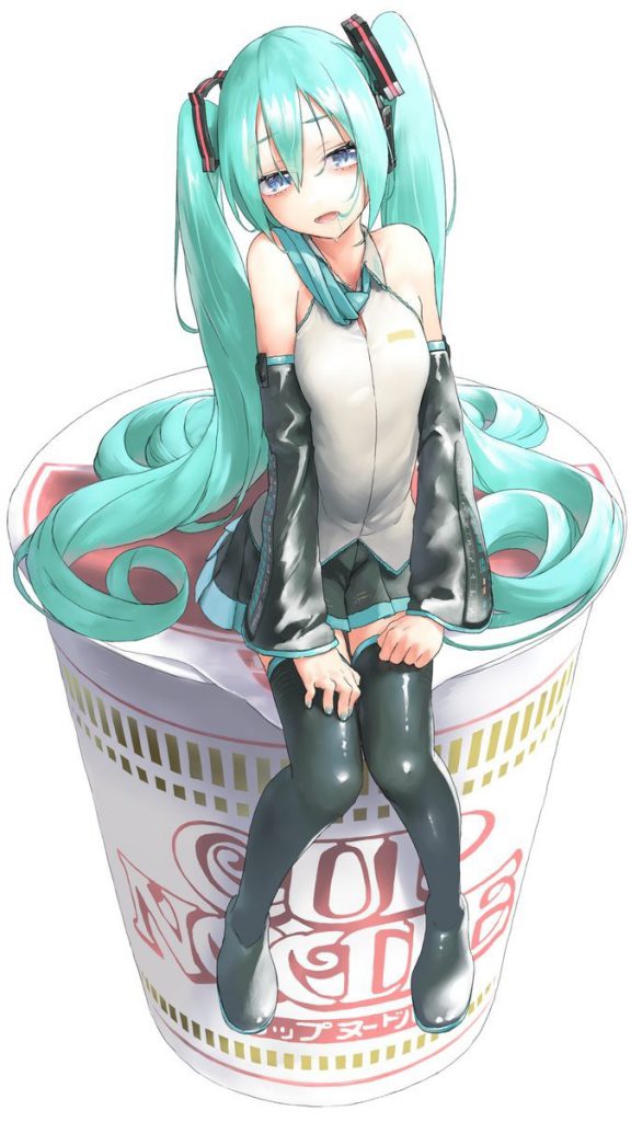 ボーカロイドの背徳感あふれるエロ画像