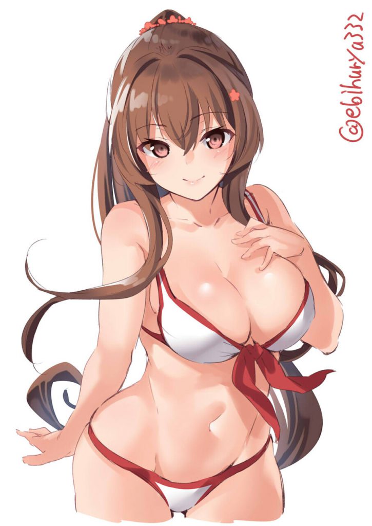 艦隊これくしょんのエロ画像を集めてみた