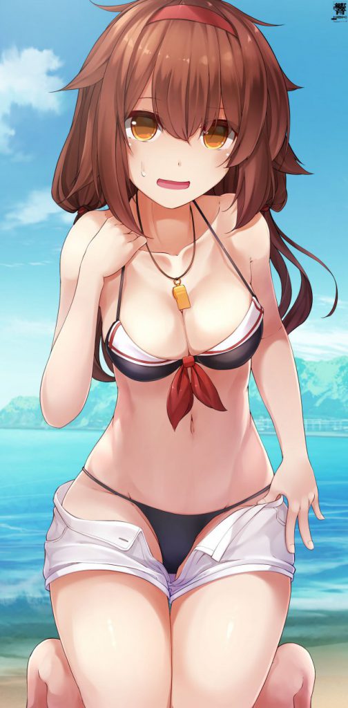 艦隊これくしょんのエロ画像を集めてみた