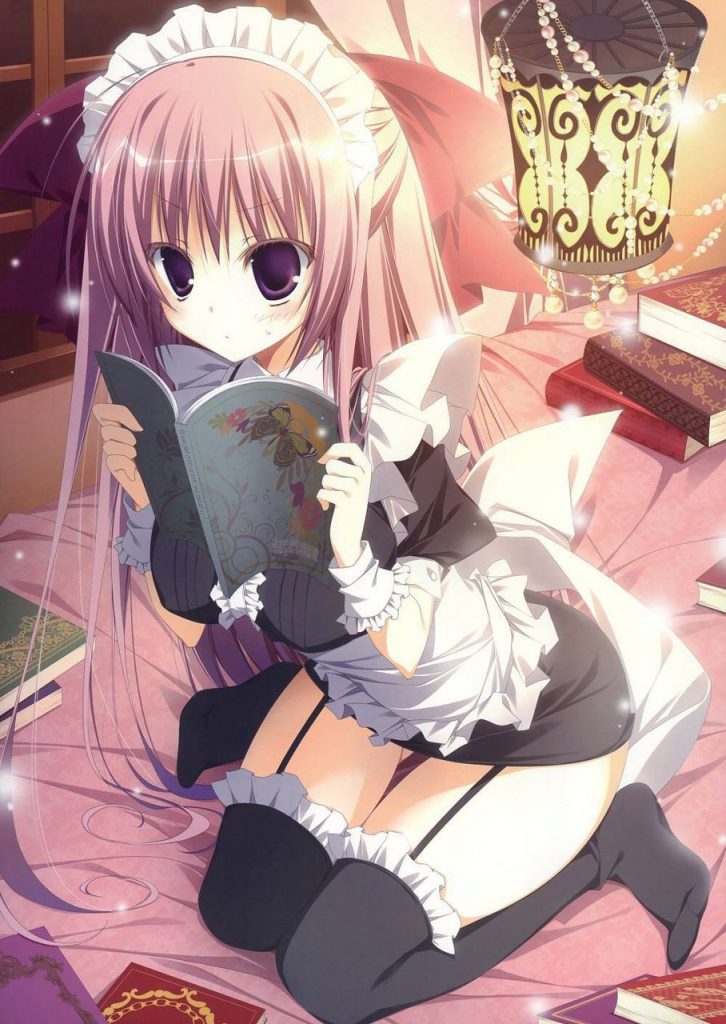 メイドは最高だぜぇぇ!!ってなるエロ画像