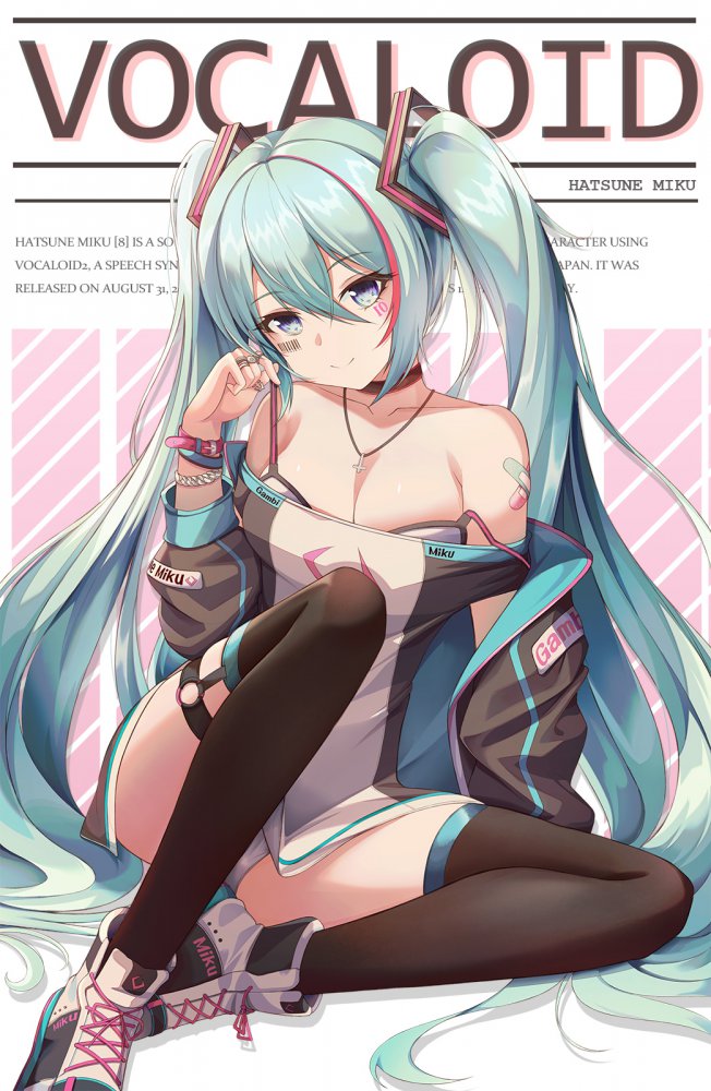 ボーカロイドのエロ画像を集めてみた