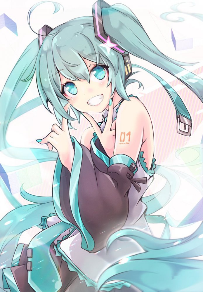 ボーカロイドのエロい画像