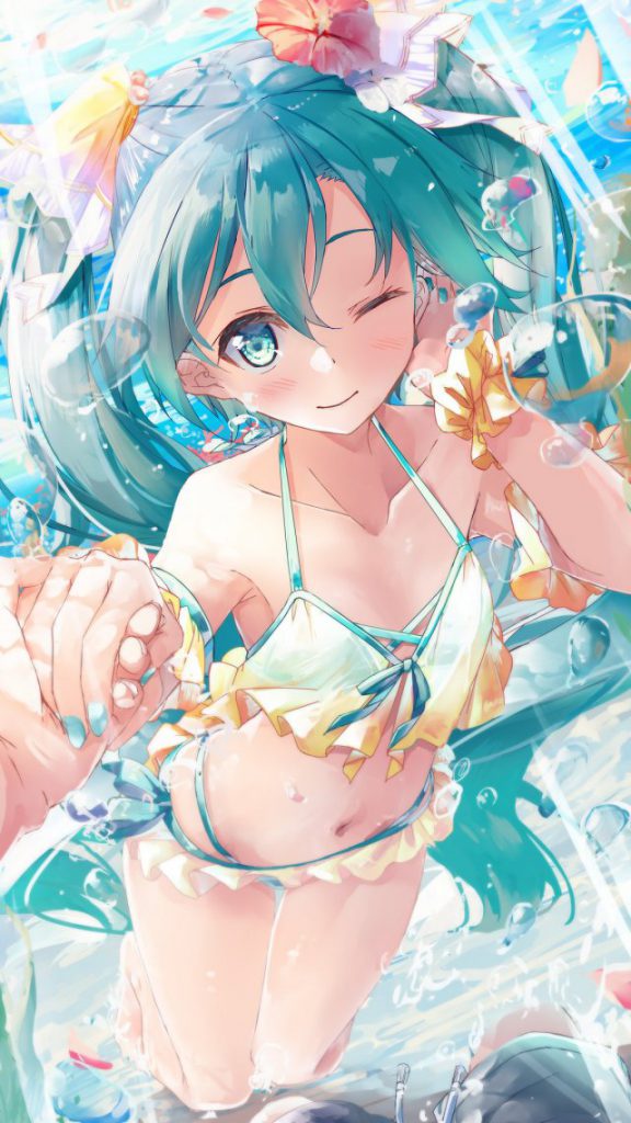 ボーカロイドのエロ画像を集めてみた