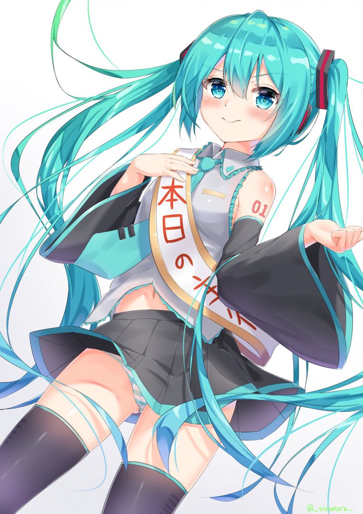 ボーカロイドのエロ画像を集めてみた