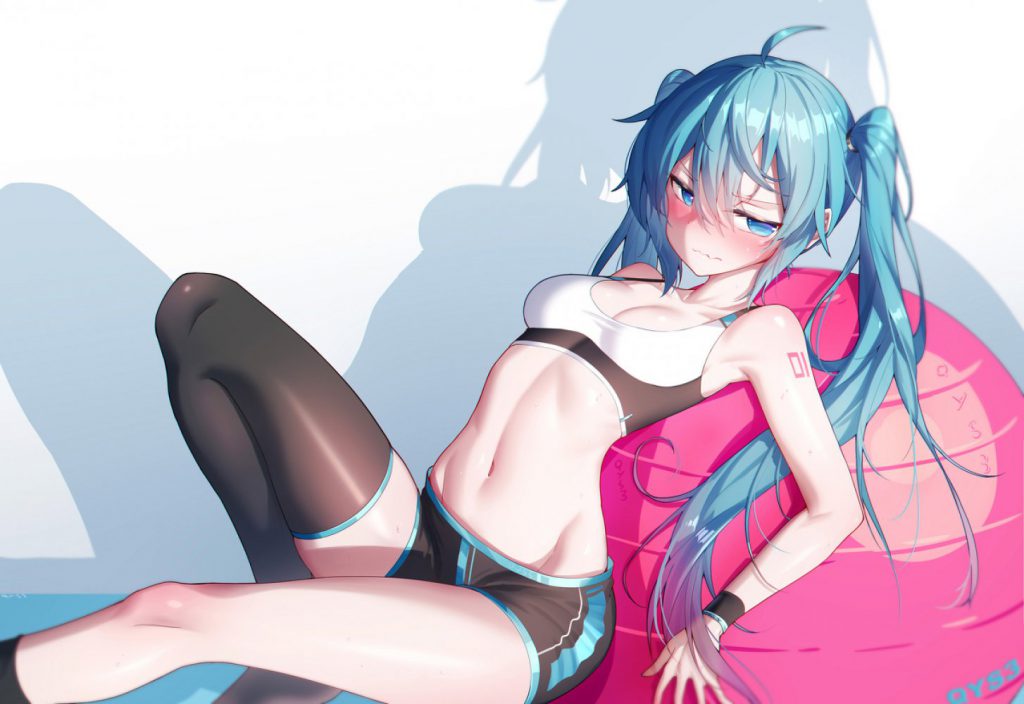 ボーカロイドのエロい画像