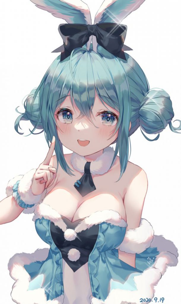 ボーカロイドのエロ画像を集めてみた