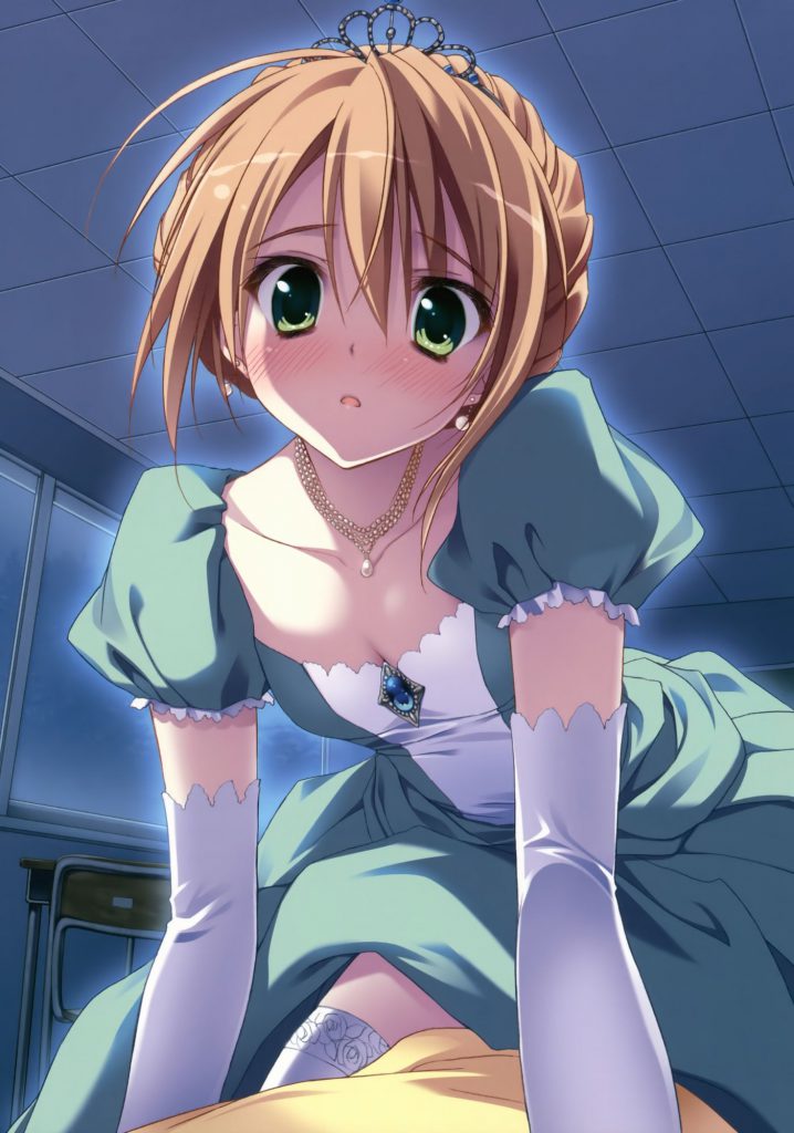 騎乗位の可愛い二次元画像。