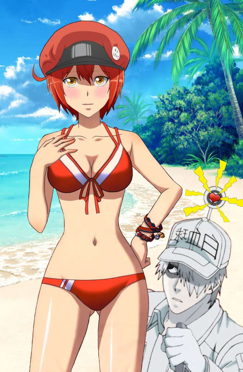 はたらく細胞を期待する人が集まる画像倉庫。