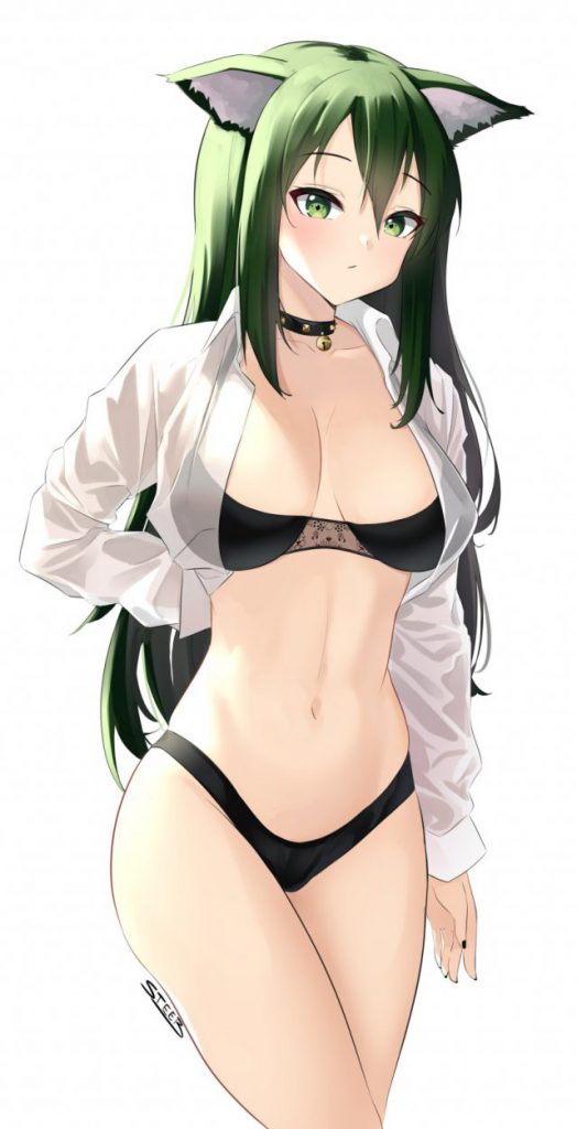 ケモ耳のエッチな魅力が分かるエロ画像