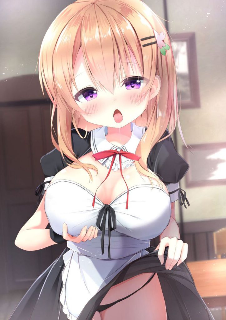 メイドの淫乱で卑猥な画像をゲットだぜ!