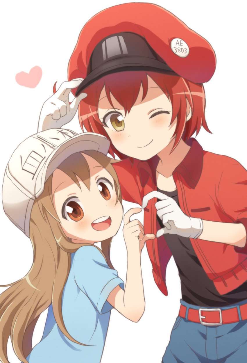 はたらく細胞を期待する人が集まる画像倉庫。