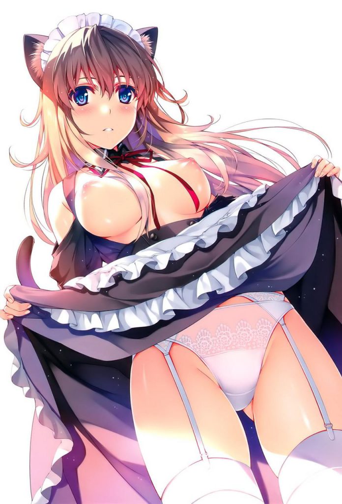 メイドの画像フォルダを公開する!