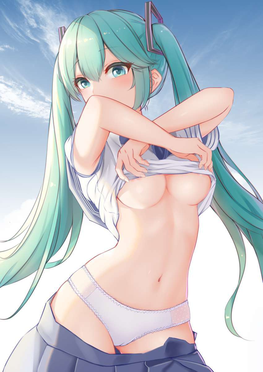 ボーカロイドのエッロエロな画像を見たくはないかい？