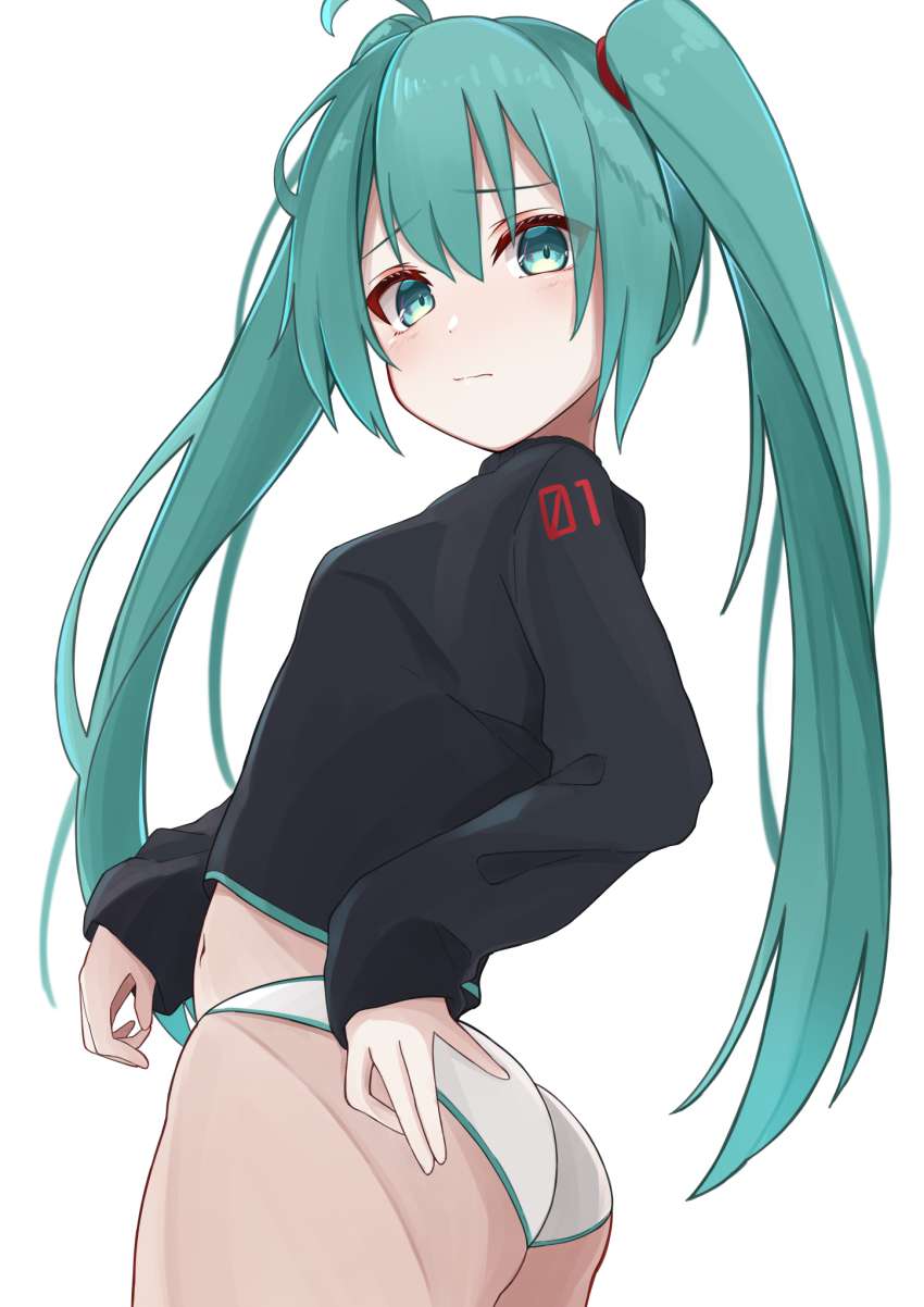 ボーカロイドのエッロエロな画像を見たくはないかい？