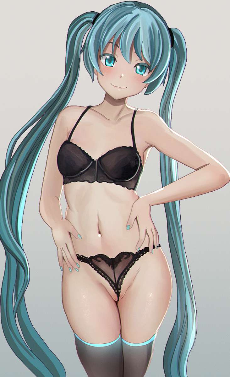 ボーカロイドのエッロエロな画像を見たくはないかい？