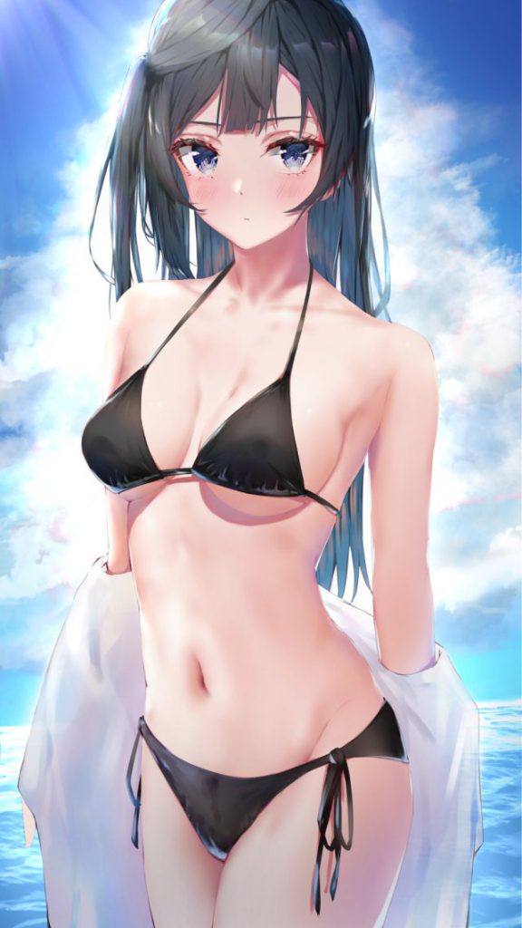 水着の選り抜き画像♪