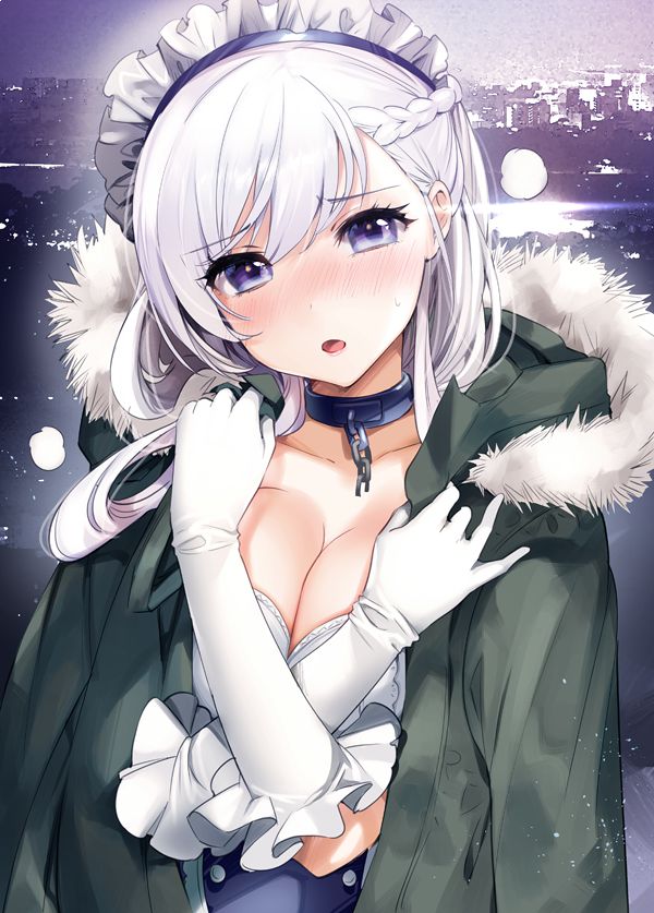 銀髪のよさを再確認できるエロ画像