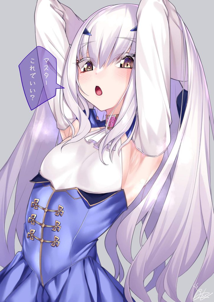 オカズにできそうなFate Grand Orderの二次エロ画像はいかがですか?