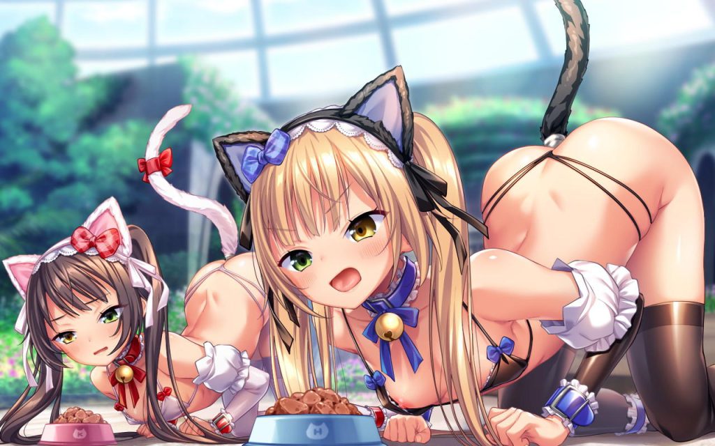 即ヌキ!ぐうシコな「バイブ・ローター」系激レア画像www【エロ画像】