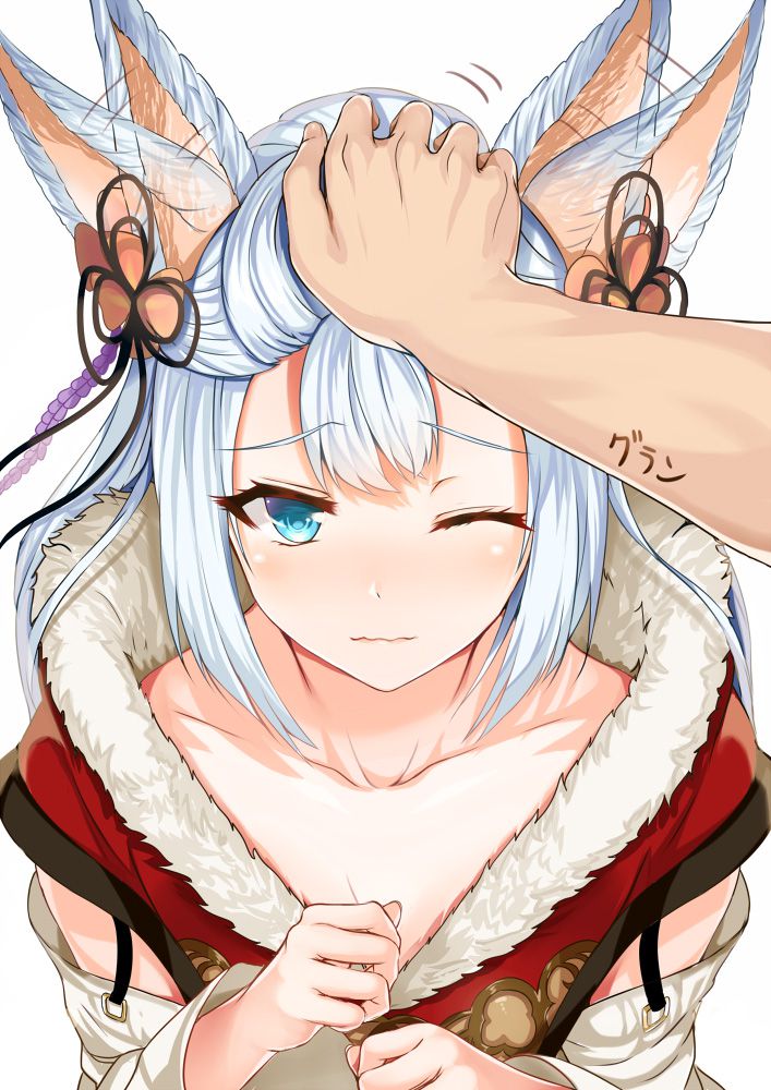 俺のとっておきのケモ耳の画像フォルダを見せる