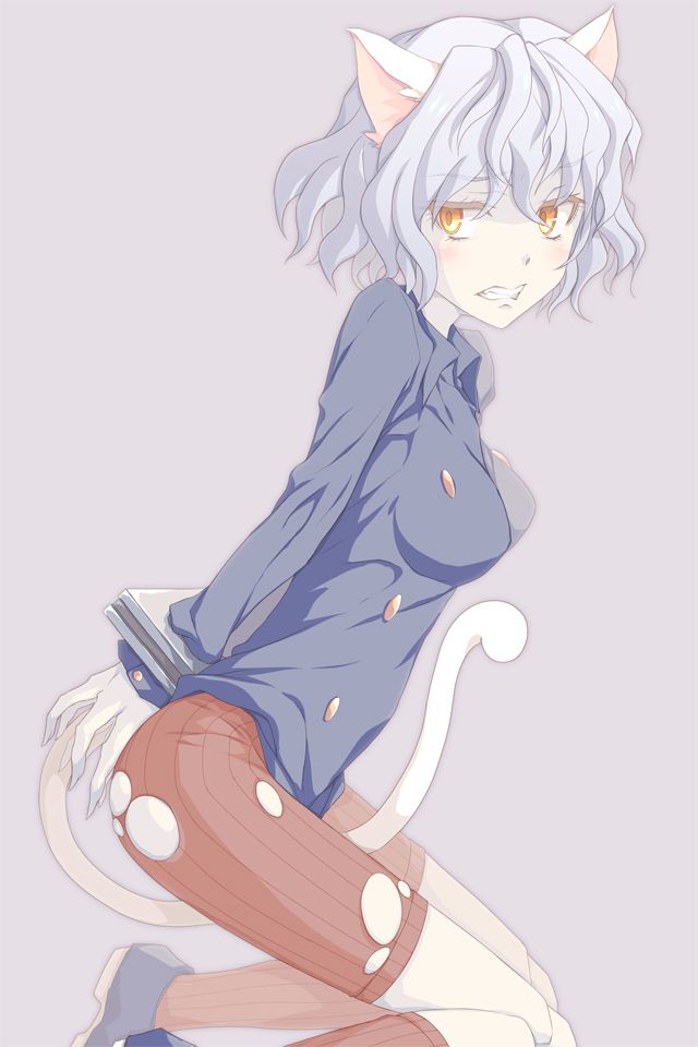 HUNTER×HUNTERのエロ画像を集めてみた