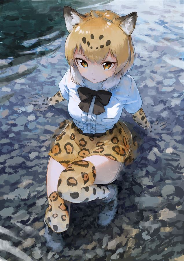 けものフレンズの二次エロ画像くだしあ。