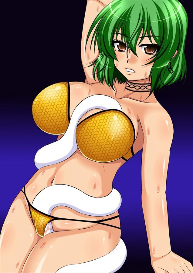 閃乱カグラの二次エロ画像まとめ