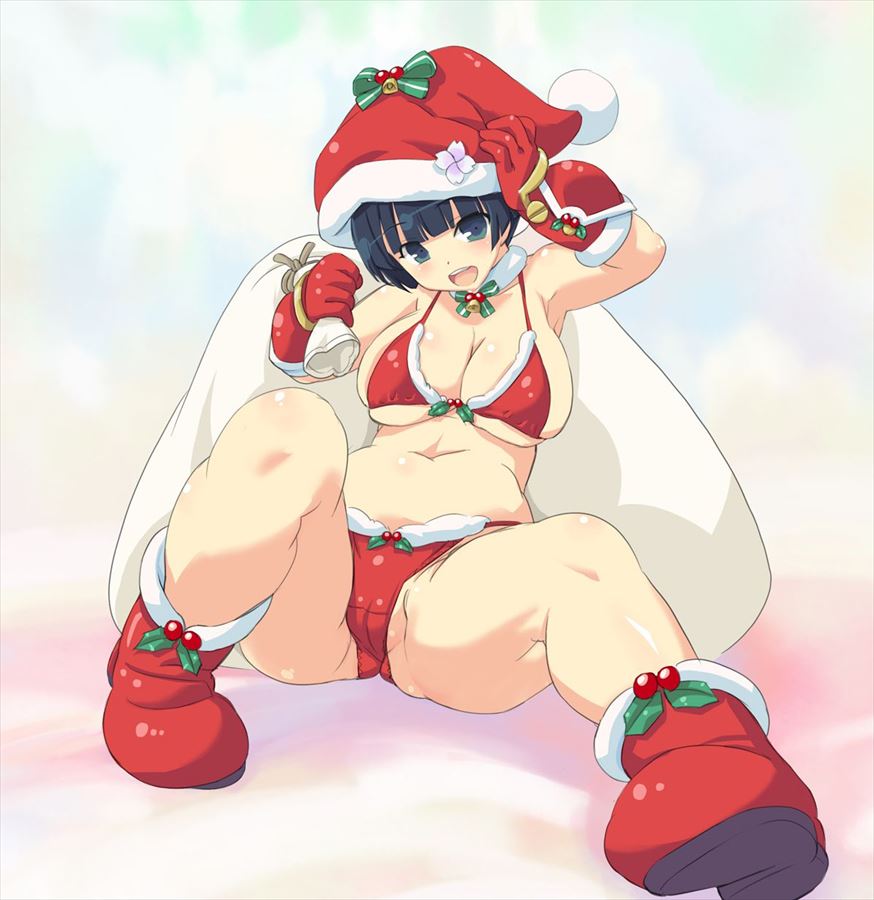 閃乱カグラのオナネタ画像を集めたよー！！