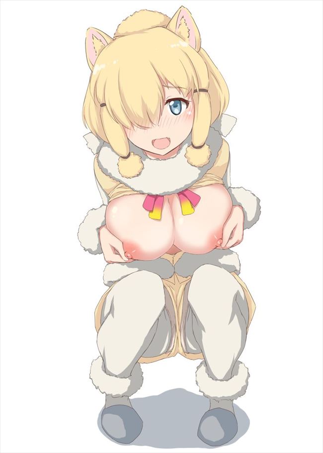 けものフレンズのエロ画像がほしい!