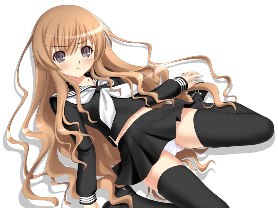 とらドラ!の画像が好きな紳士の方はこちらへどうぞ。