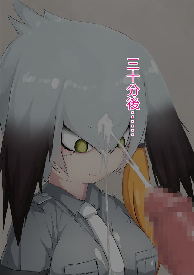 けものフレンズのエロ画像がほしい!