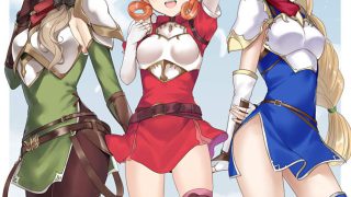 ファイアーエムブレムの画像フォルダを公開する！