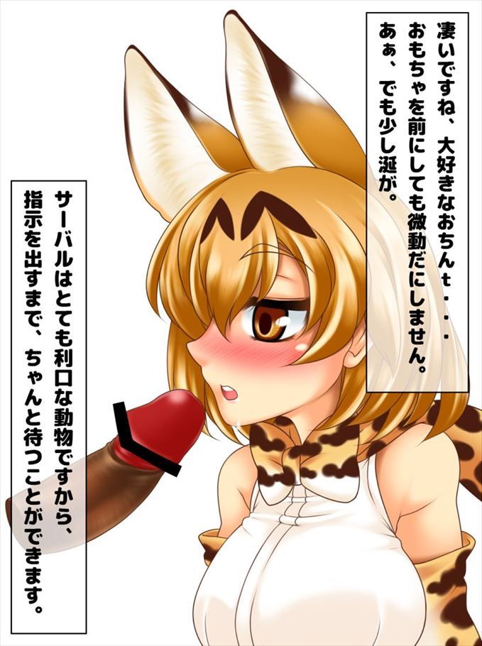 けものフレンズのエロ画像がほしい!