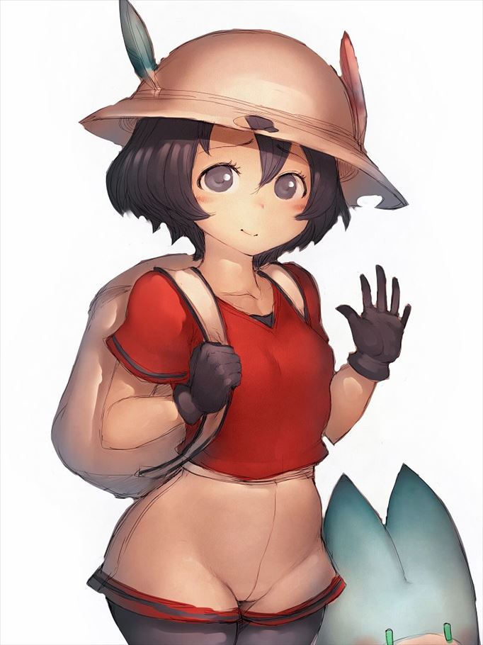 けものフレンズについてのエロ画像