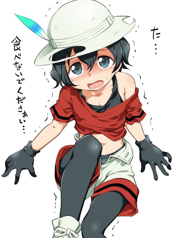 けものフレンズのエロ画像まとめ!